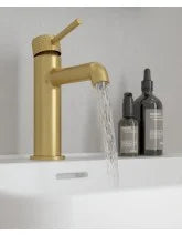 ALITA Basin Mixer Brushed Gold